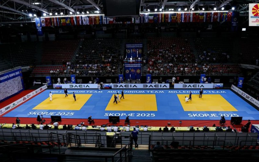 187ded99-4529-36e6-a0cd-74dddec7b5b8_850